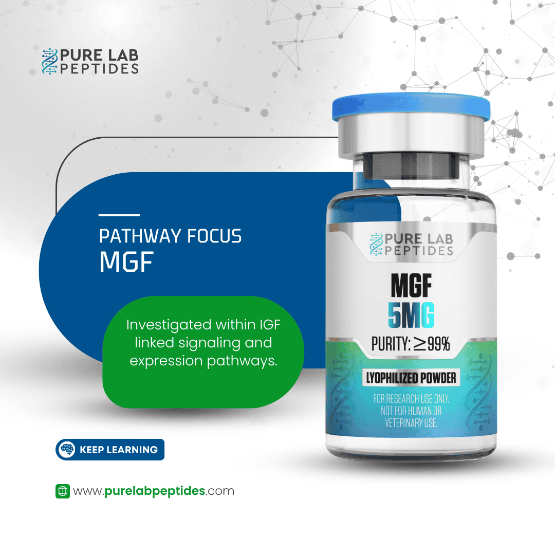 Mechano growth factor (MGF) 5mg - Image 5