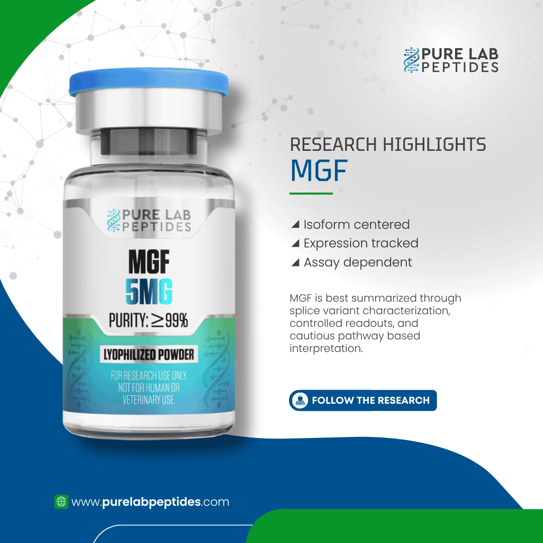 Mechano growth factor (MGF) 5mg - Image 2
