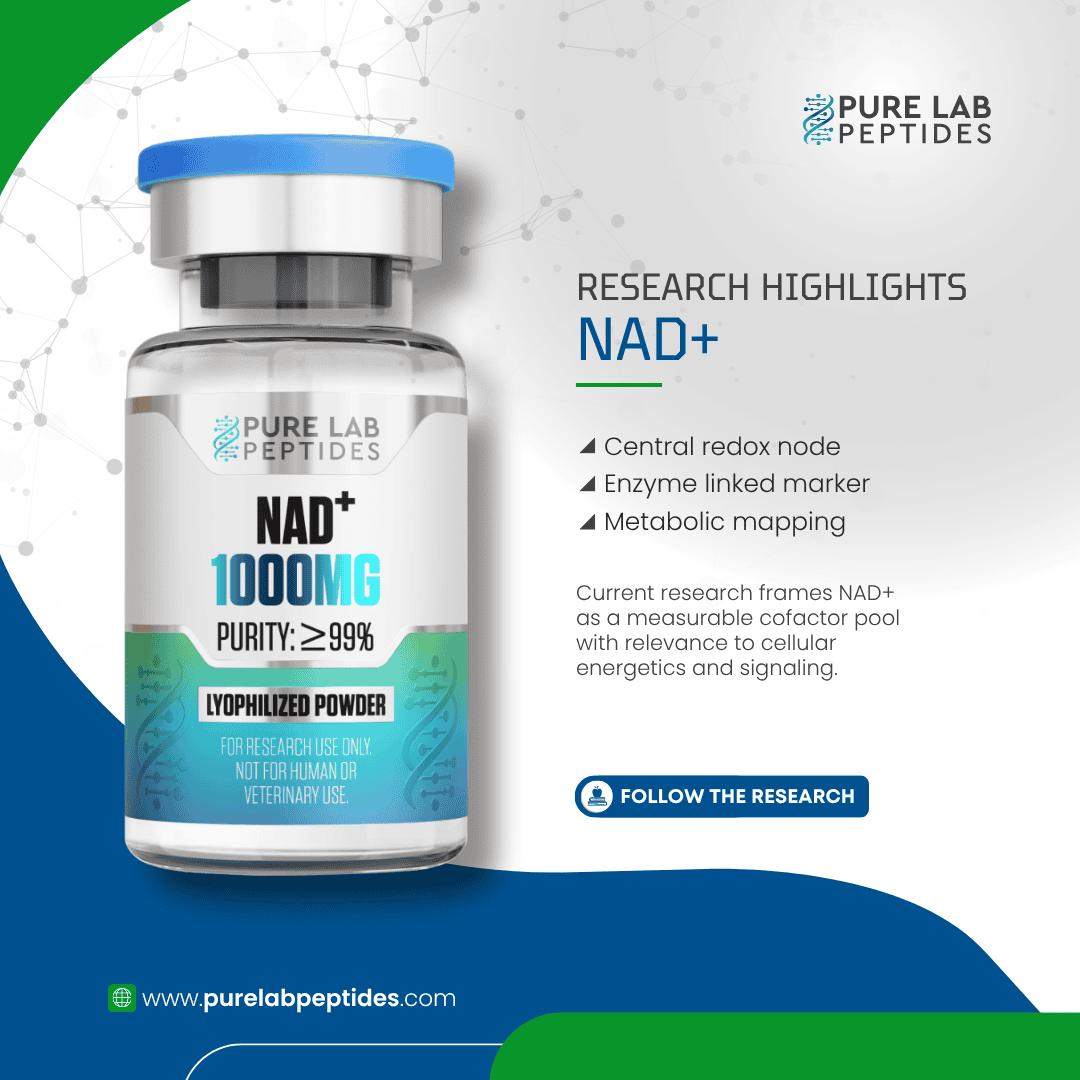 NAD+ 1000mg - Image 2