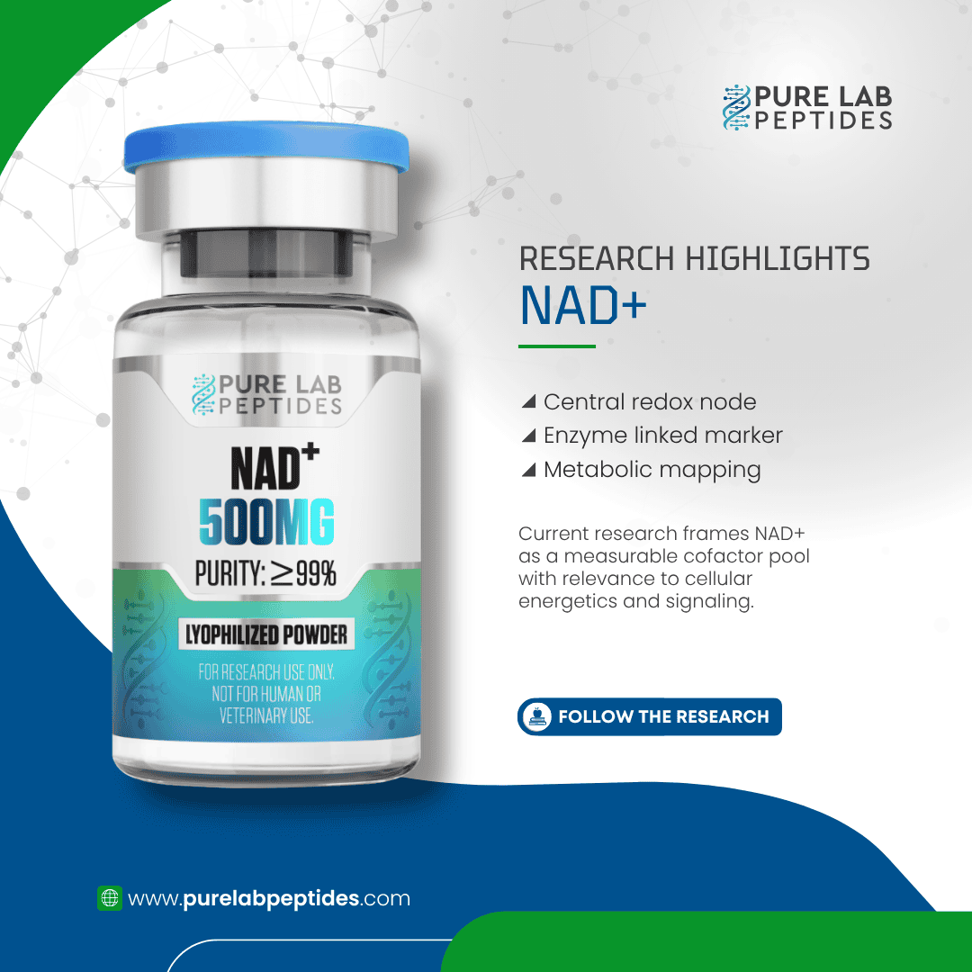 NAD+ 500mg - Image 2